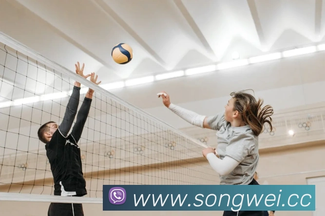 九游在线平台官网服务体系